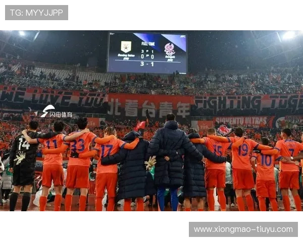 山东泰山保留前场三叉戟框架 阿尔瓦罗补强后防以不变应万变