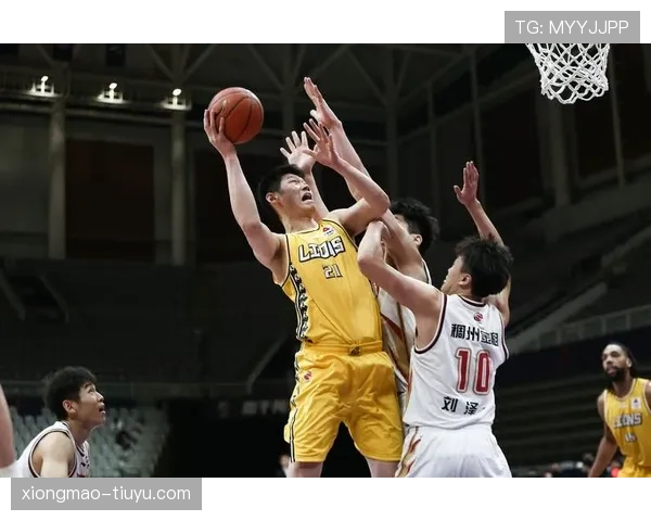 胡金秋21分7篮板稳定输出 广厦内线支柱攻防俱佳